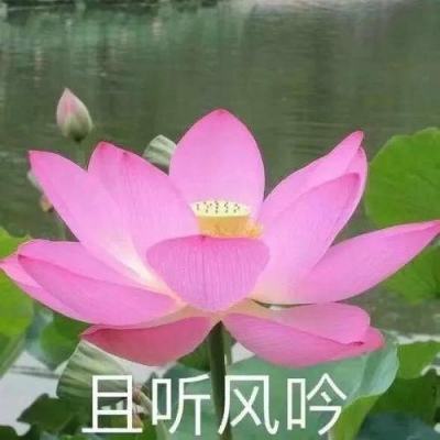 孙绍骋王莉霞会见生态环境部党组书记孙金龙